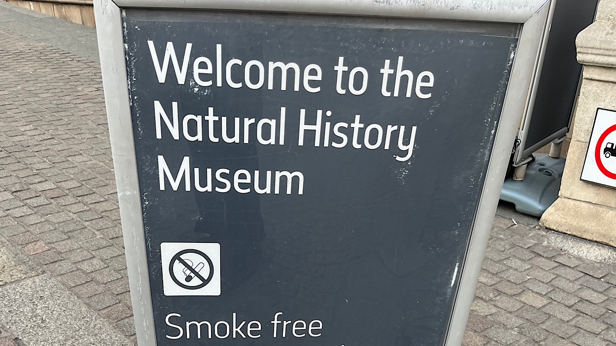 自然史博物館