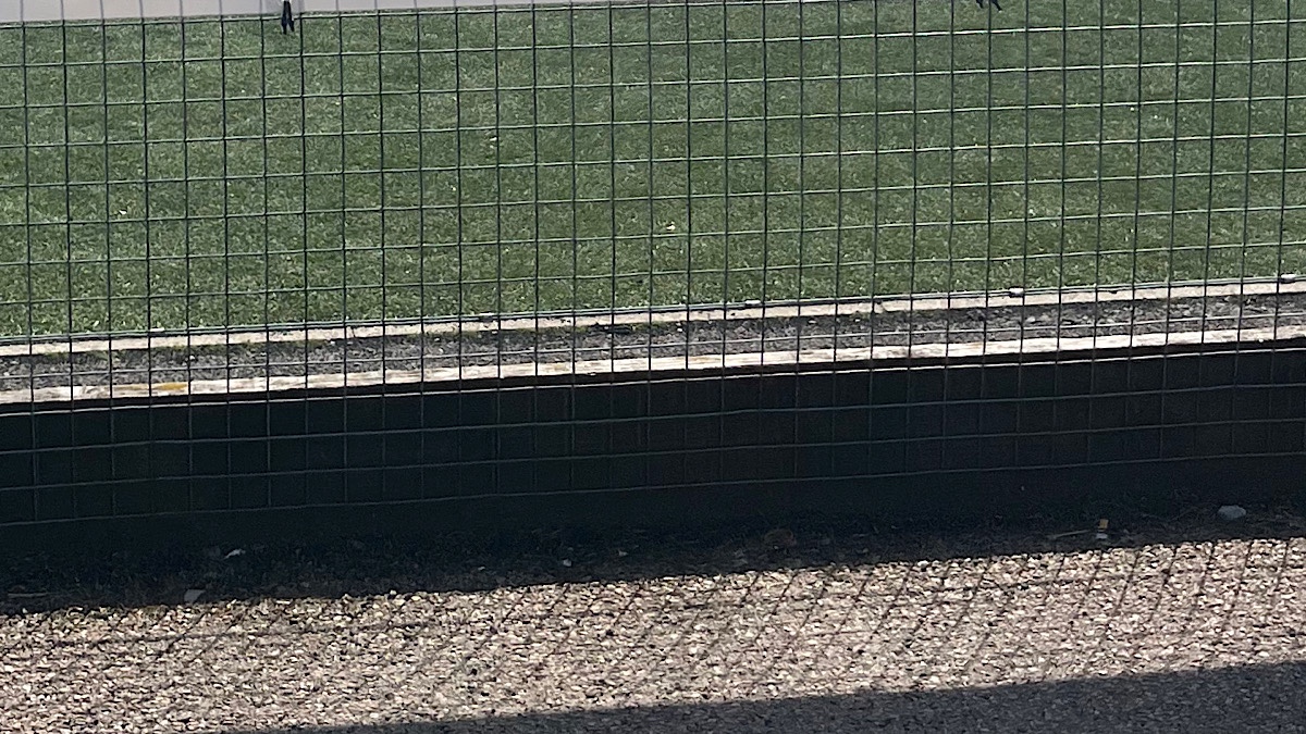 バスケットボール