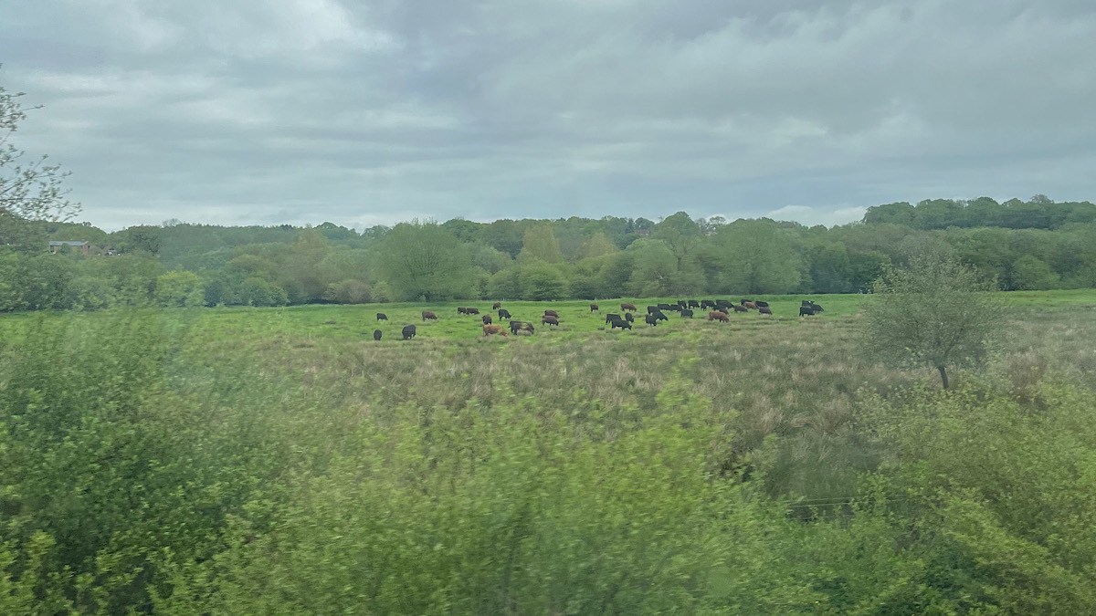 ゴールデンウィーク