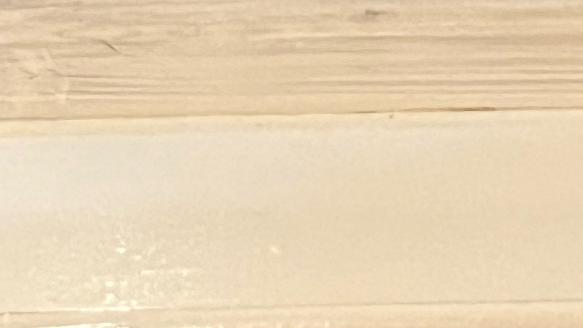 オリックス優勝