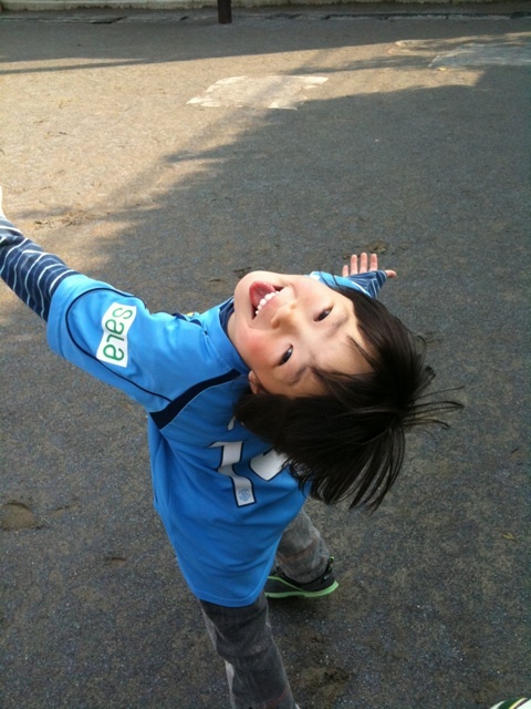 目黒川のぼんぼり