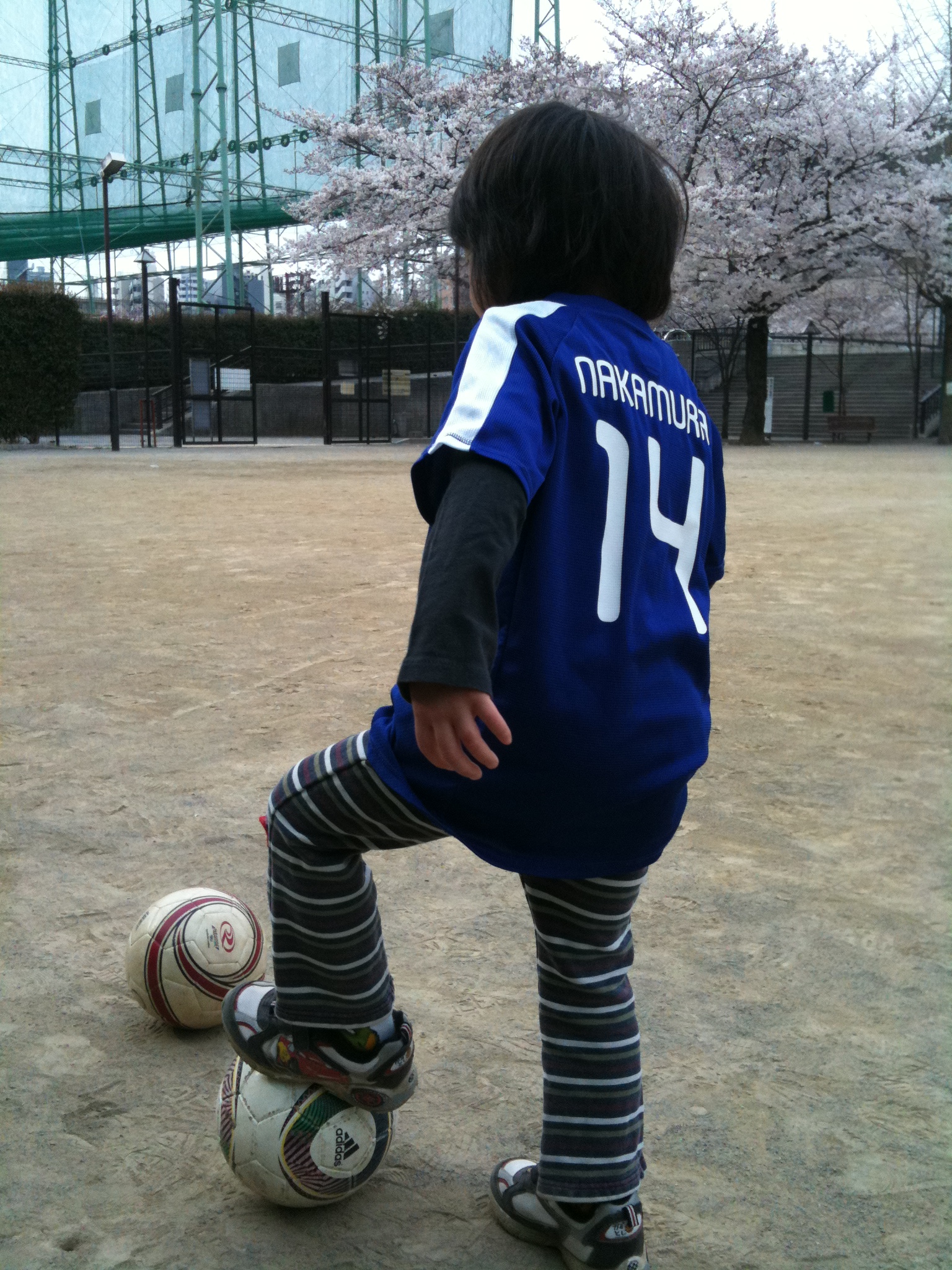 リズムが戻りつつある