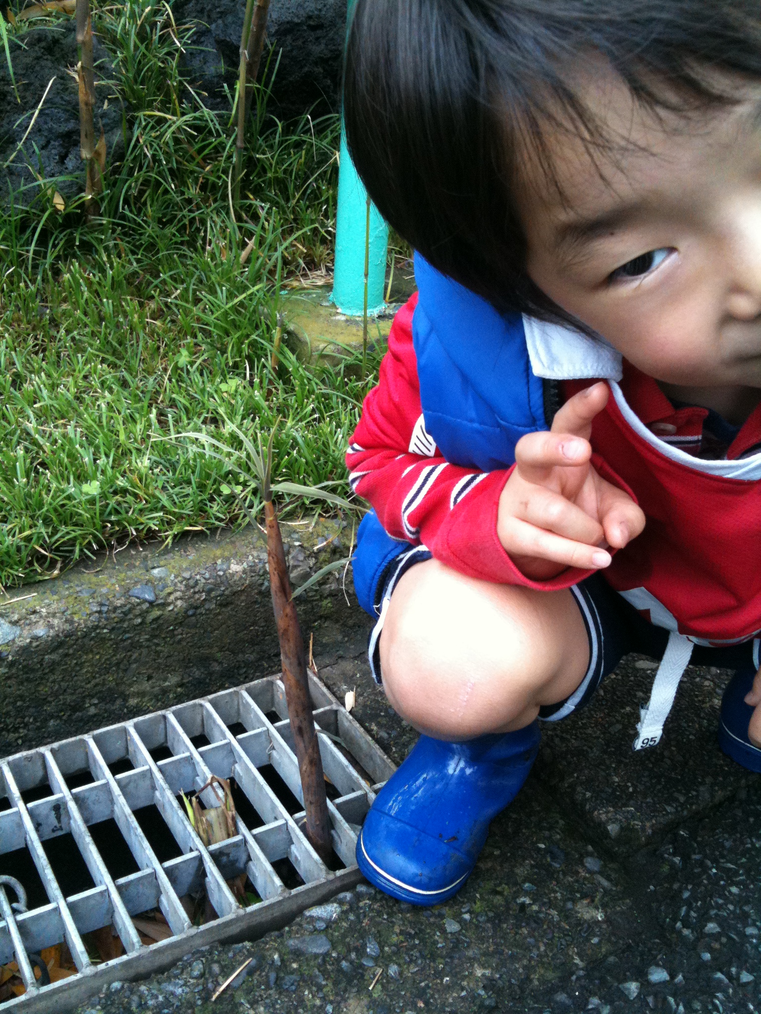 今日も雨のため練習はお休み