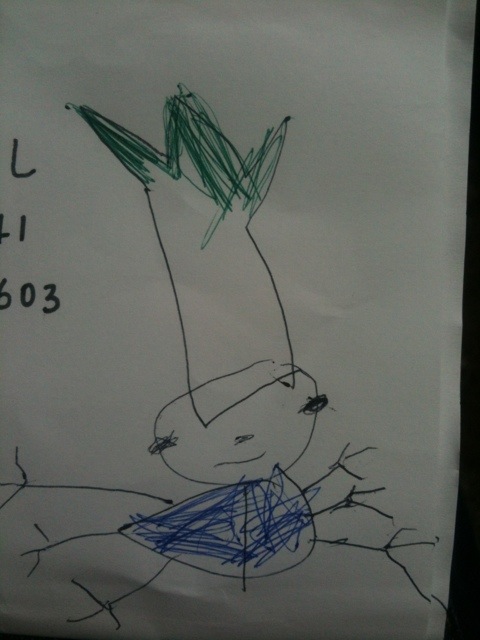 カブトムシが死んだ