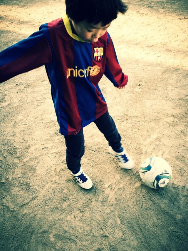 新しいDVDを買った