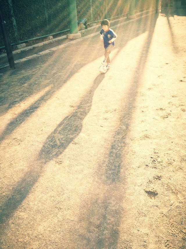 ハルの腹痛が続いている