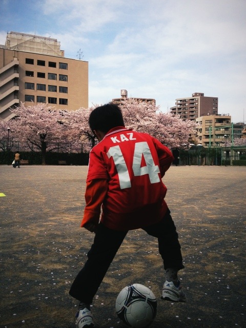 学校説明会に行って来た