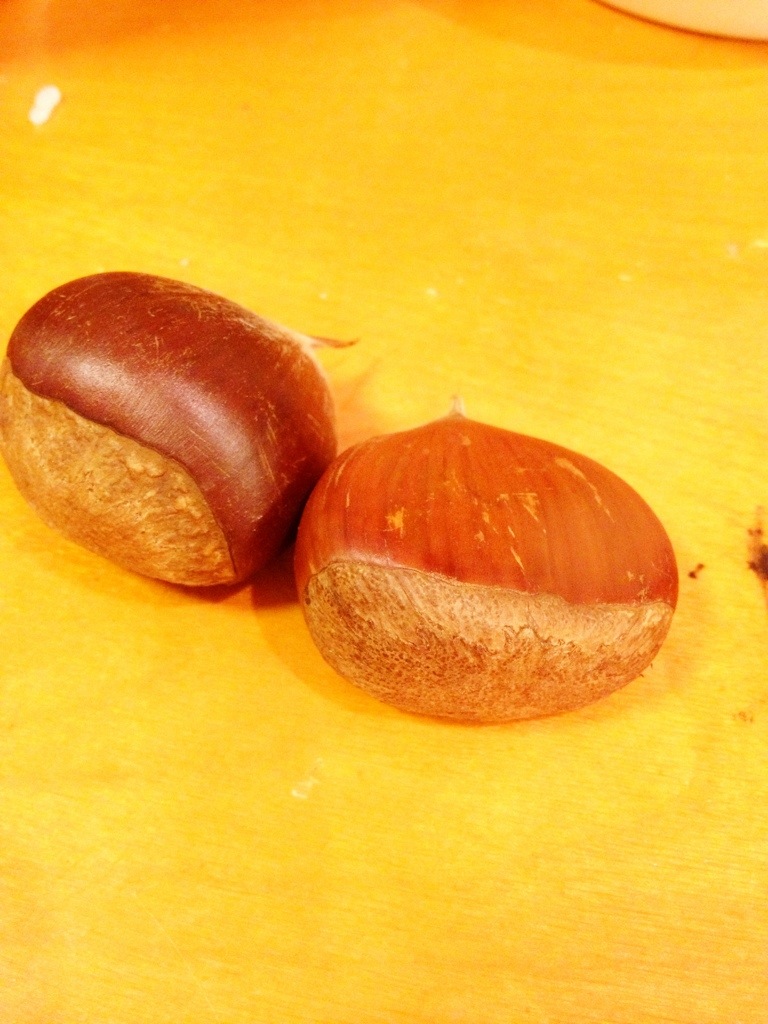 ロンドンから来た新星