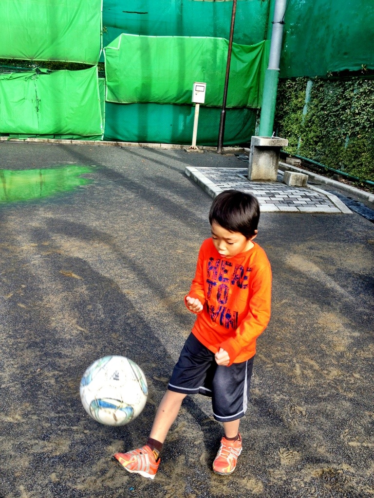 漢字の宿題で花マル