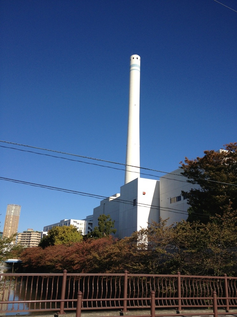 朝から夕方まで張り切って遊んだ。そして発熱。、