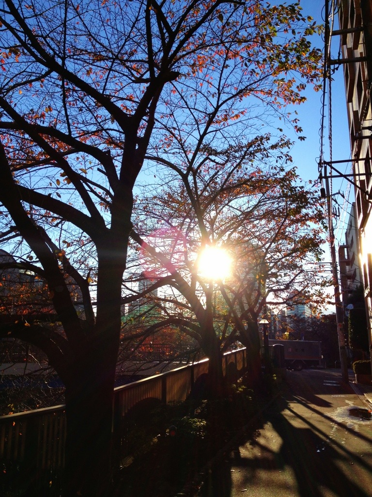 新しいスクールの練習に参加