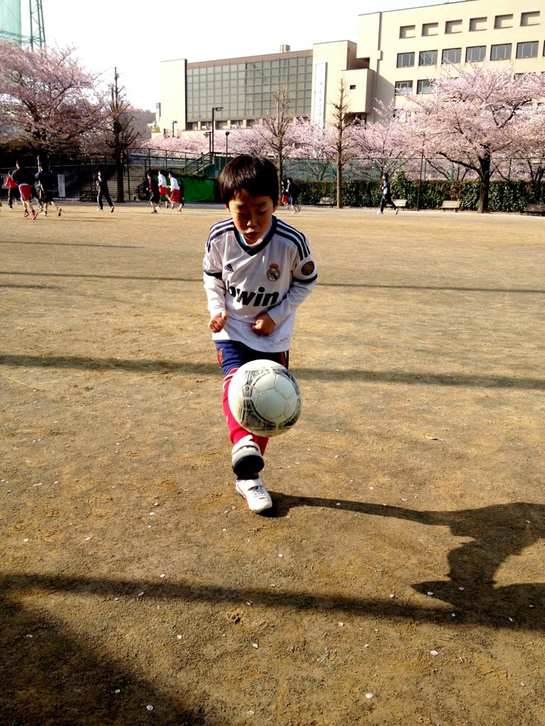 積極性に欠ける