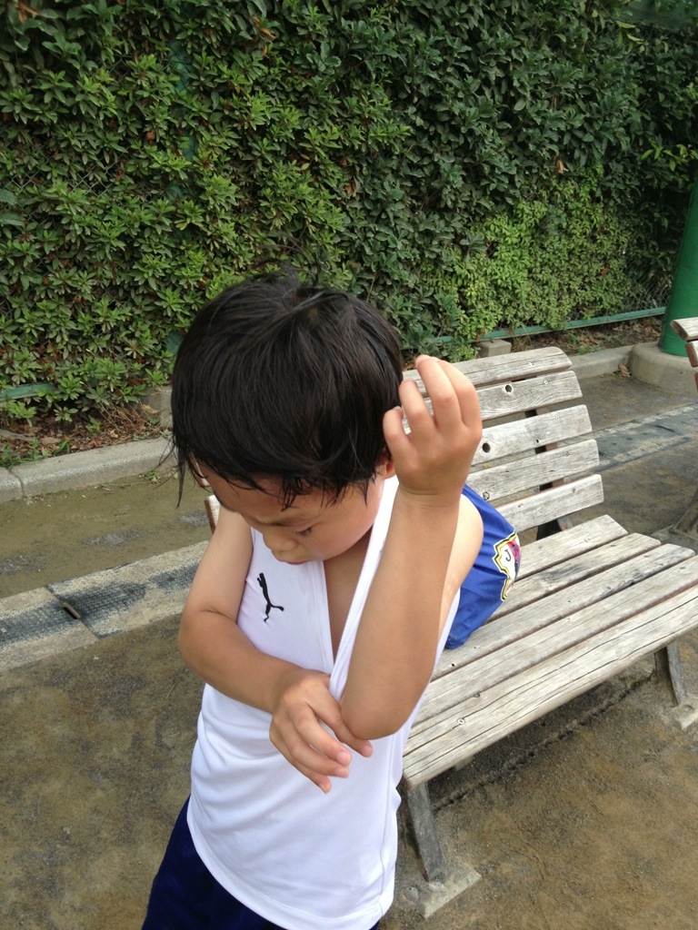 宿題が多かった