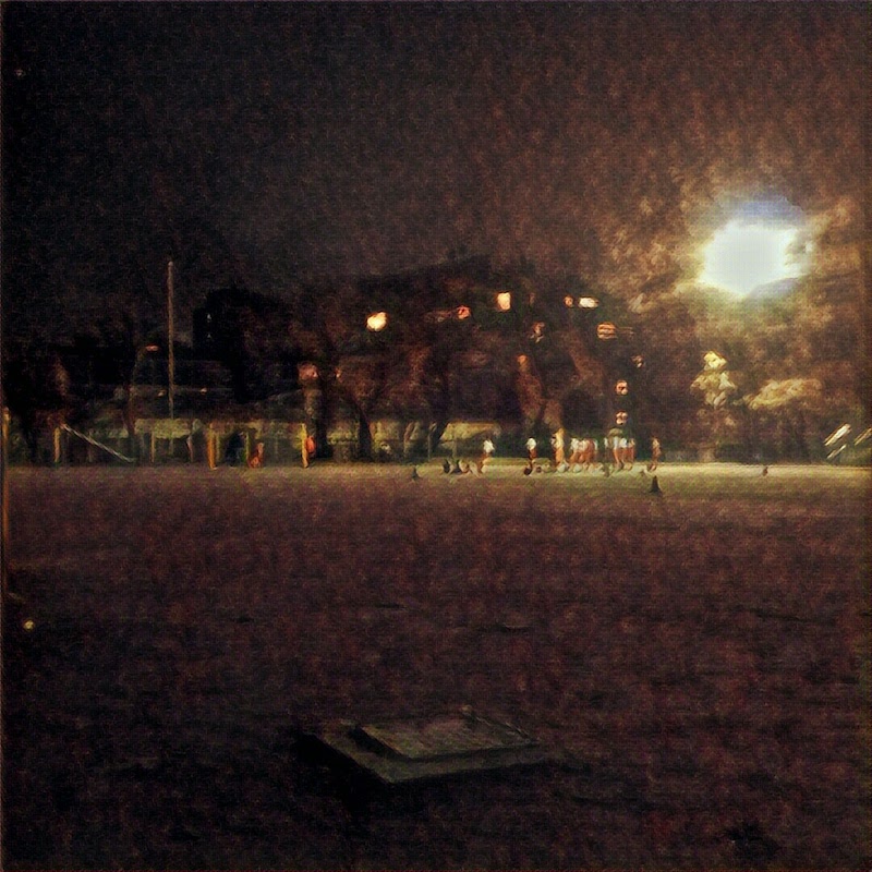 キャッチー君(カブトムシ)埋葬