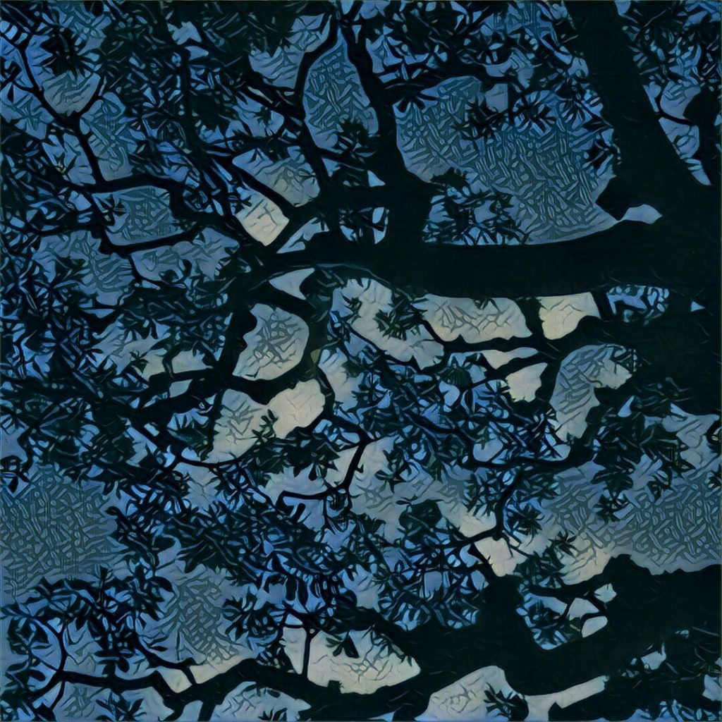 img_20161121_093134_processed