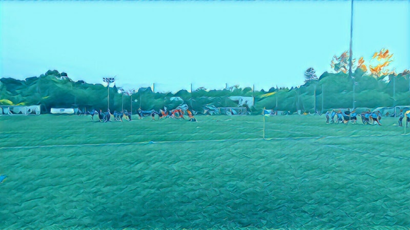 横浜FCアドヴァンス交流戦