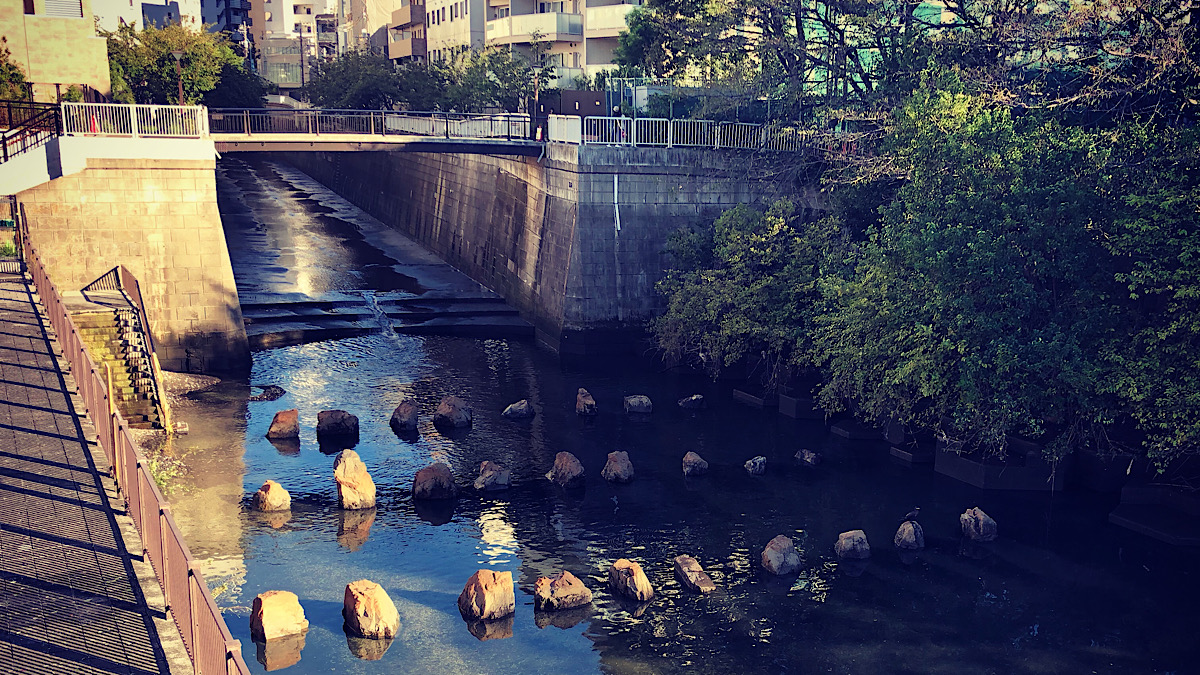 台風とラグビー