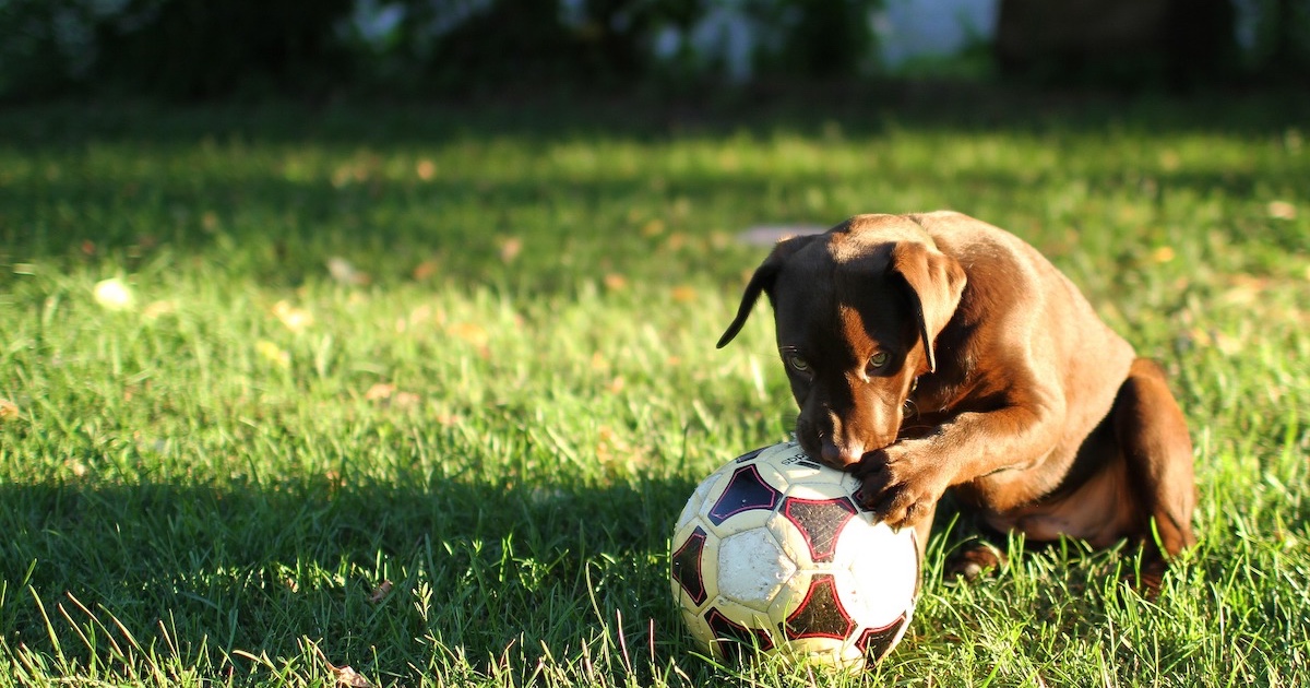 土日試合に出られず