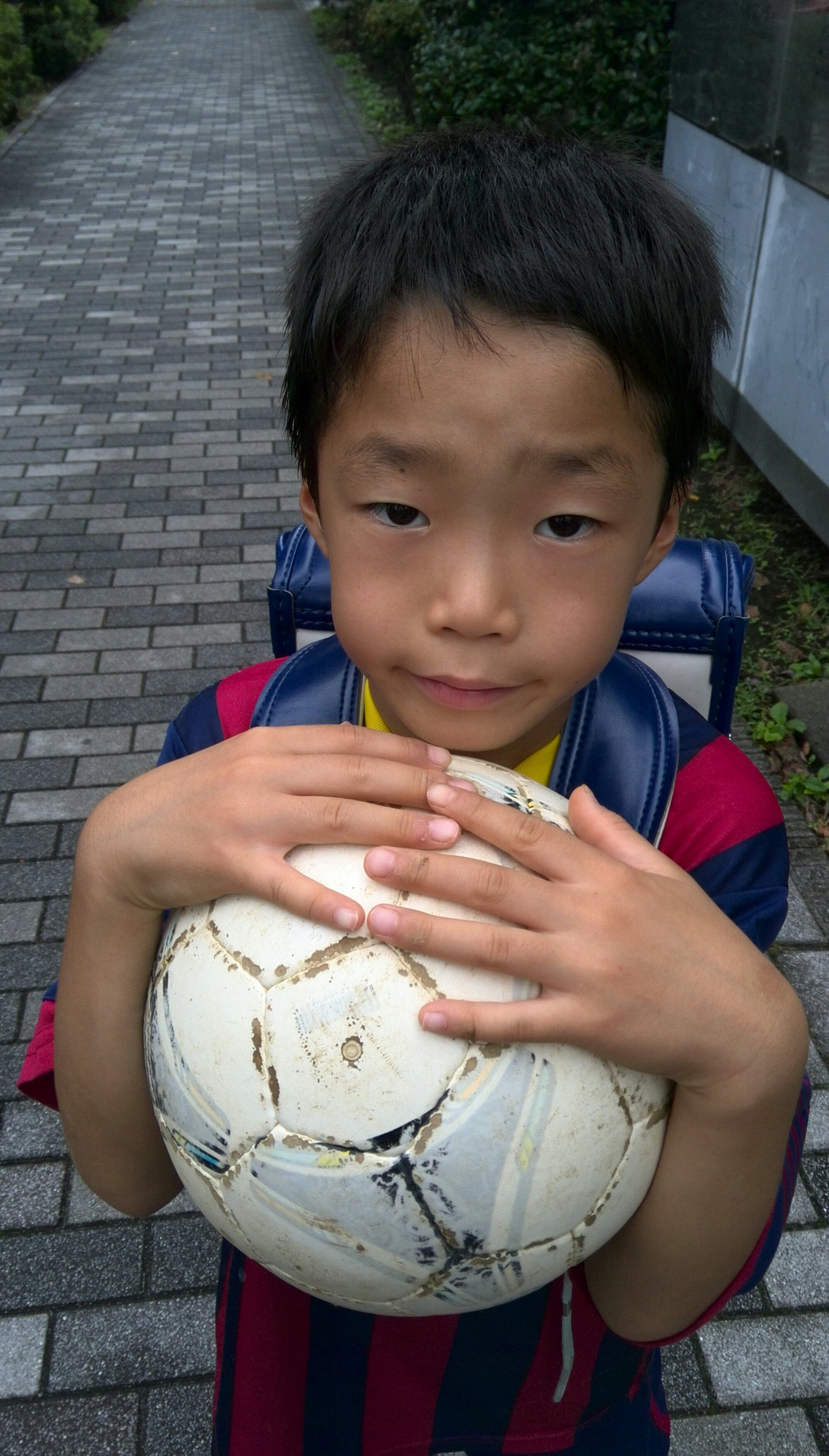 チーム練習もピボーテも無い