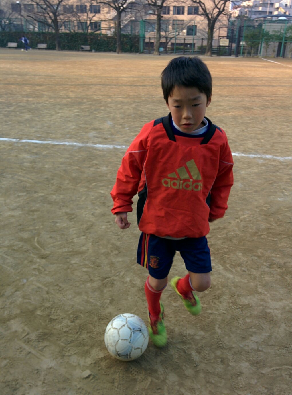 ボカのセレクション