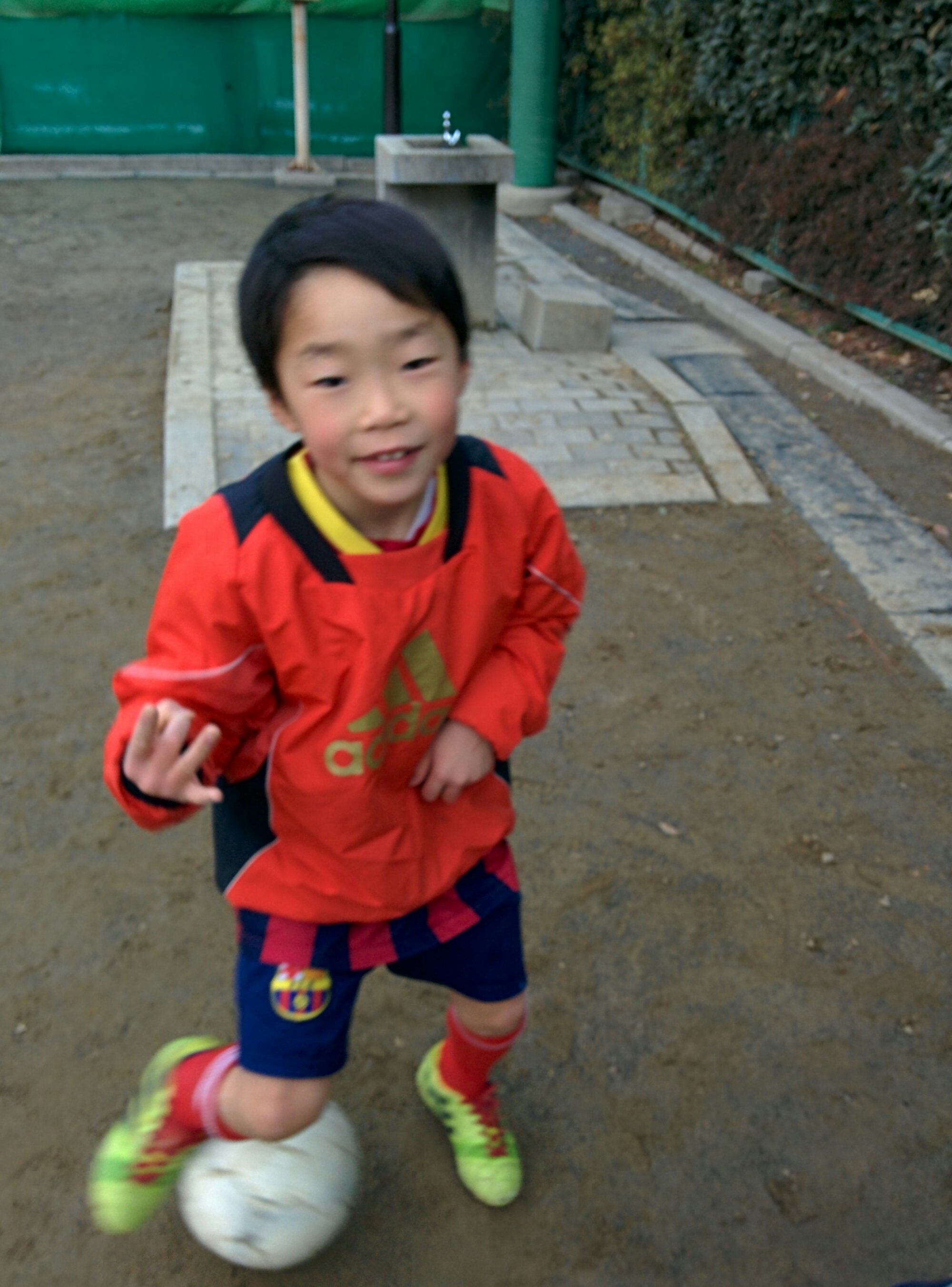 夢大会、日程未定