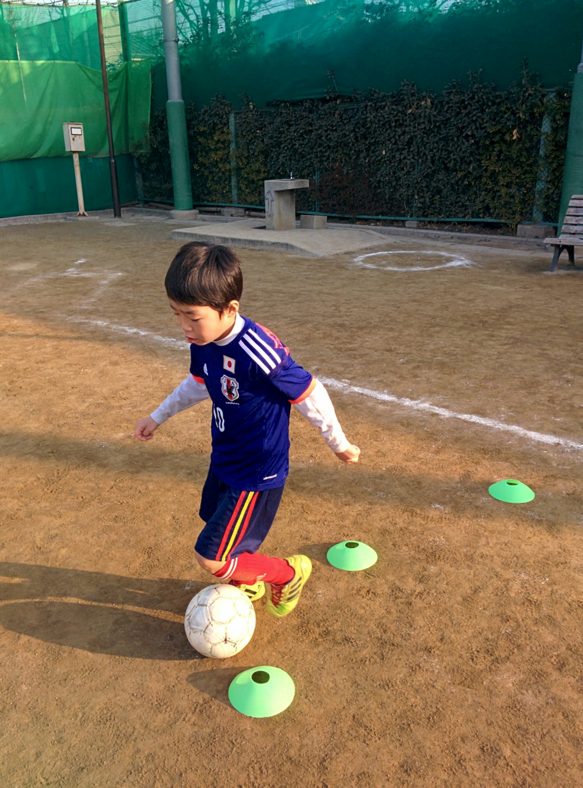 最近、勉強も頑張ってる