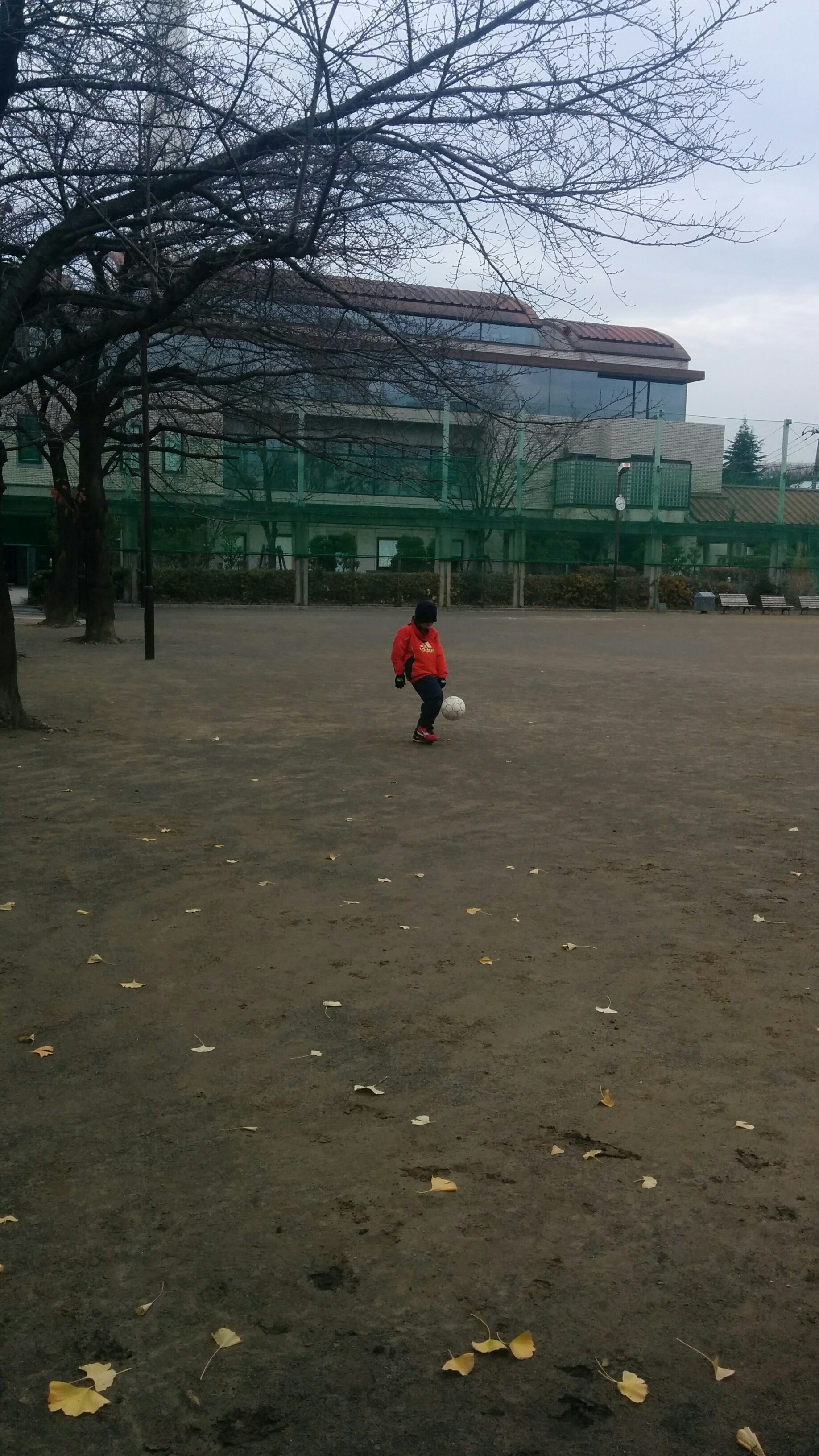 チョンチョン　続き2